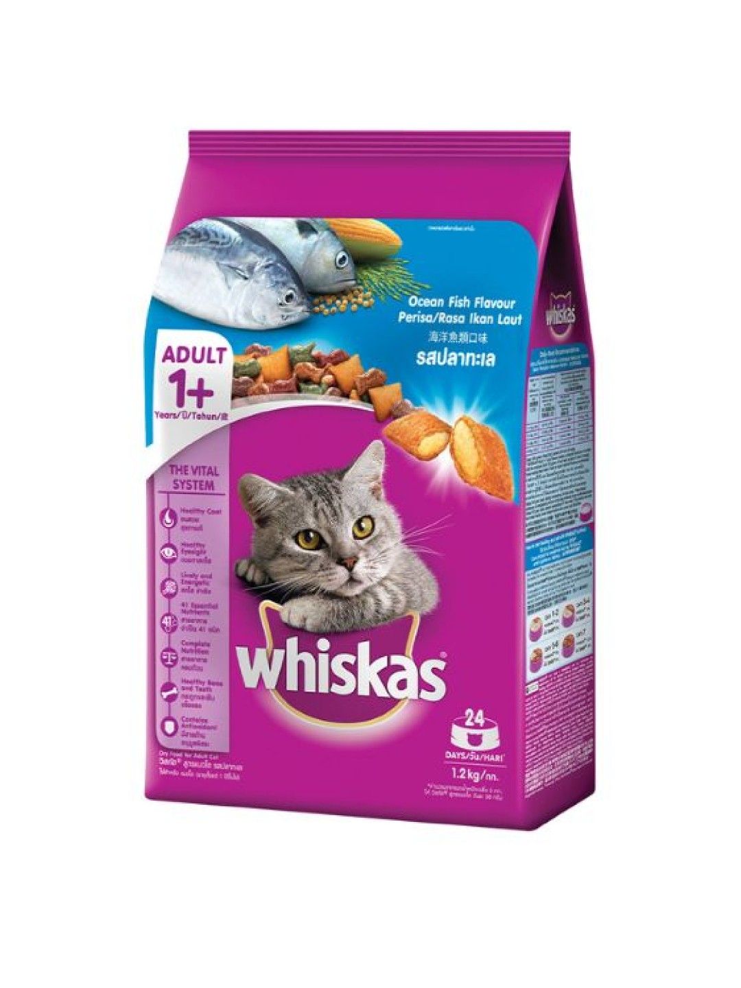 Whiskas Dry Cat Food Ocean Fish Flavor For Adult Cats Kg Edamama