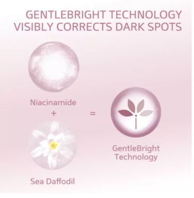 description image 3
