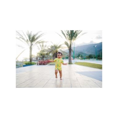 description image 2