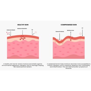 description image 2