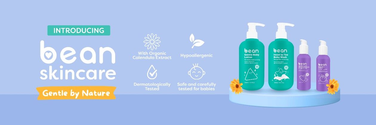 Curated Collection Banner