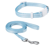 Puppy Collar & Lead