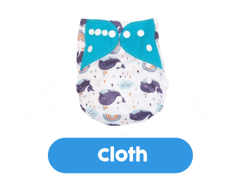 Cloth