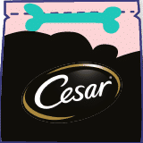 Cesar