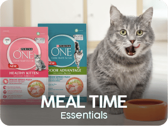 Meal Time Essentials