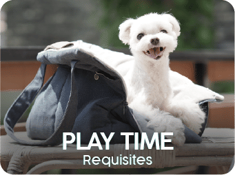 Play Time Requisites
