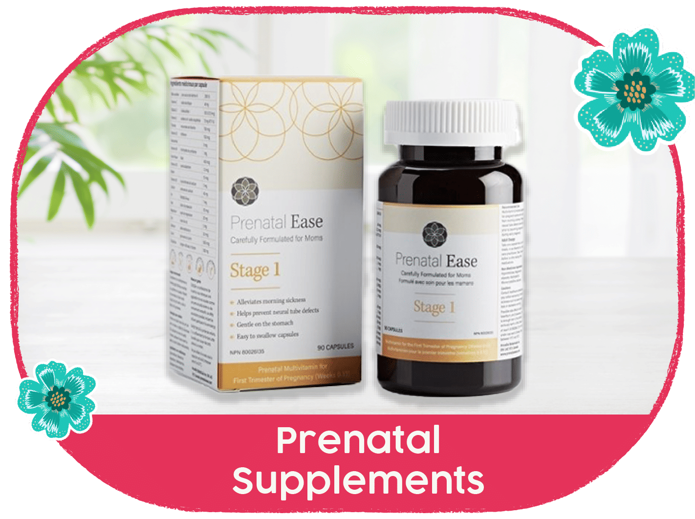 Prenatal Supplements