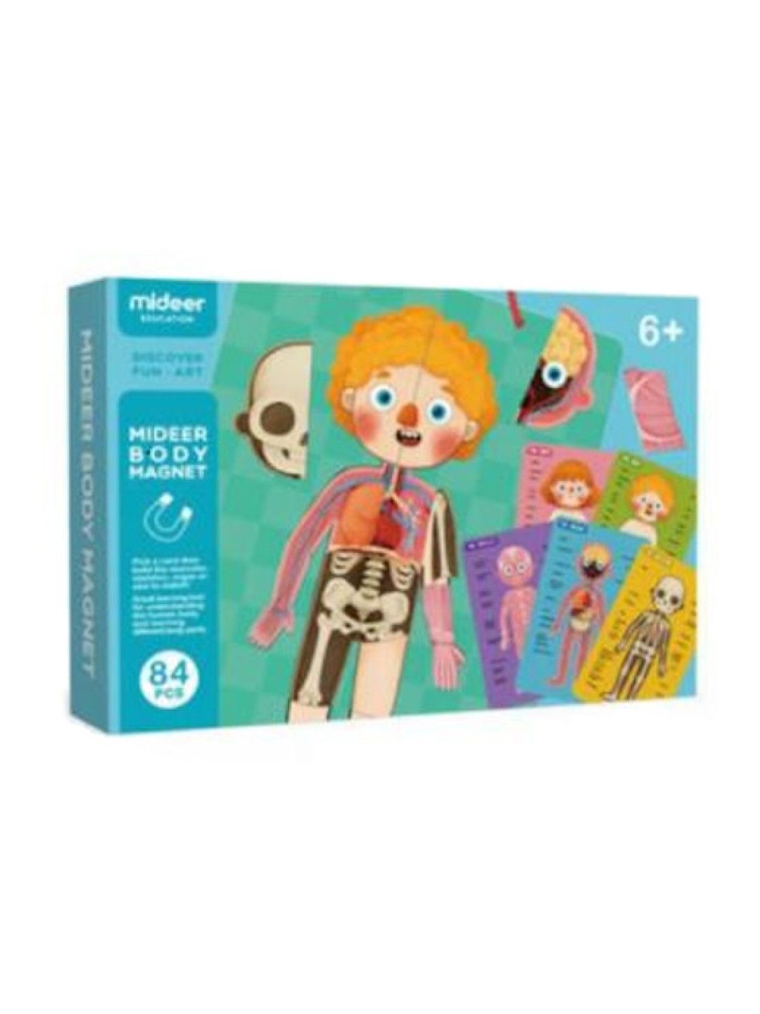 MiDeer Body Magnet (No Color- Image 3)