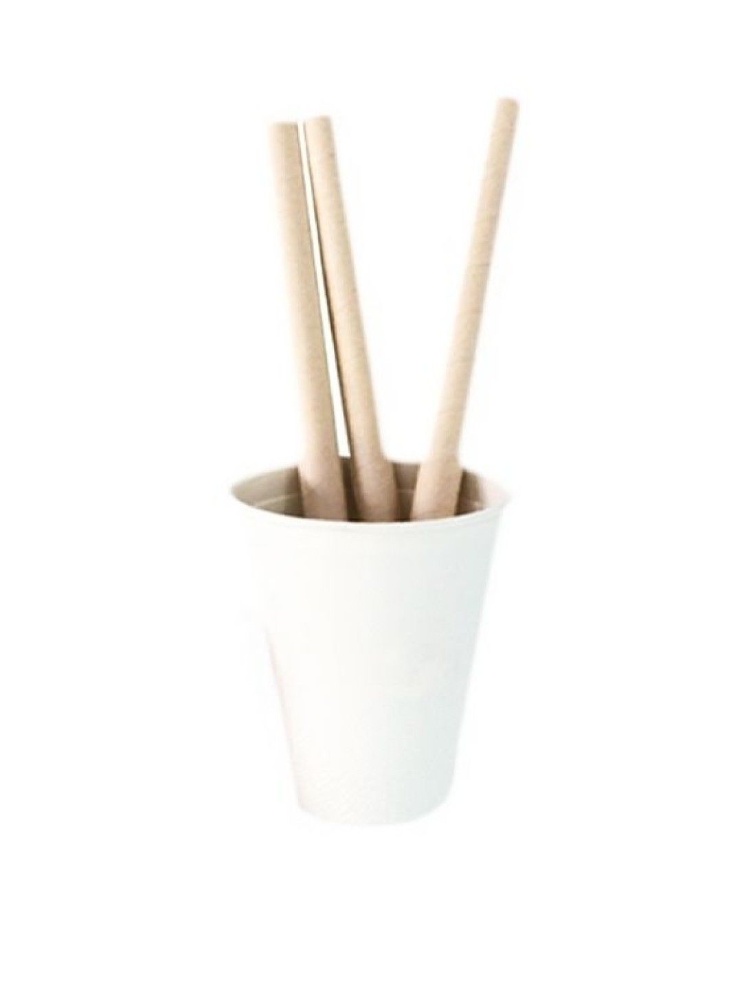 Econtainer Sugarcane Bagasse Milk Tea Straw Eco-friendly (210mm)- Pack of 100 (No Color- Image 1)