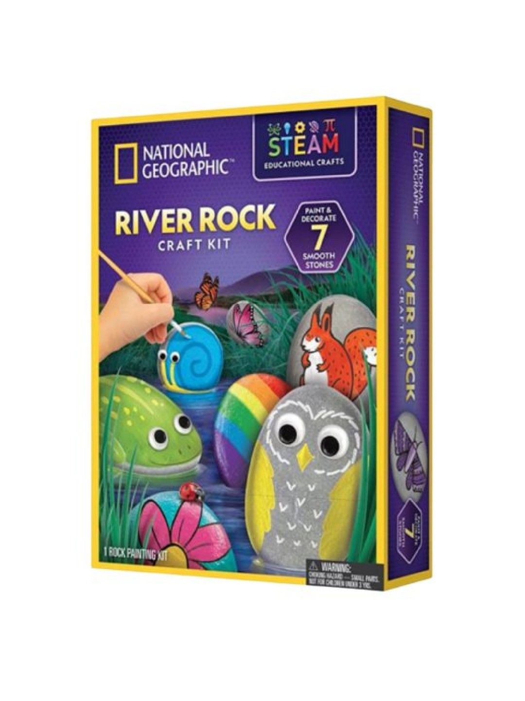 National Geographic Rock Painting Activity Kit