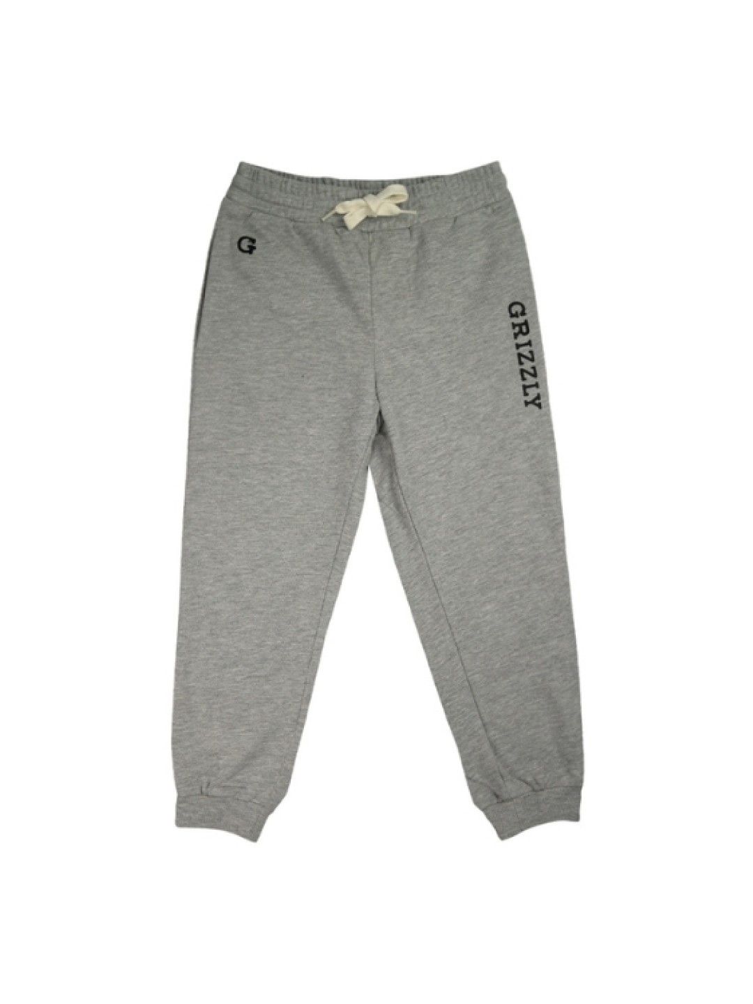 Grizzly Boys Jogger Pants with Pocket and High Density Print