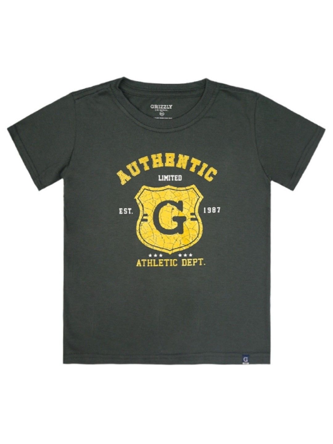Grizzly Boys Short Sleeve Round Neck Tees With Print (Grey- Image 1)