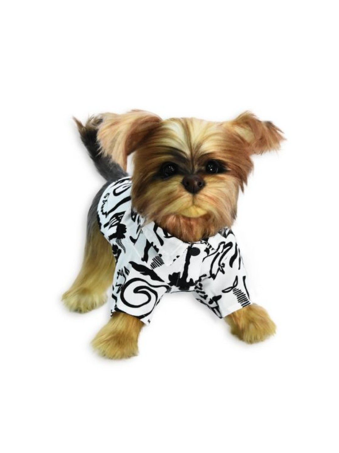 PUPKITS Beach Graffiti Black White - Pet Shirt