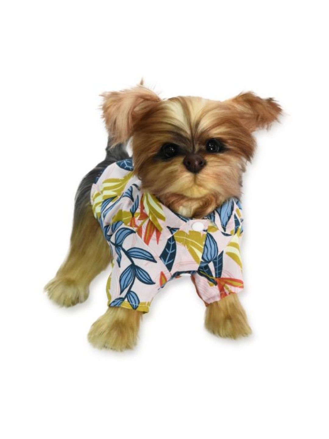 PUPKITS Aloha  - Pet Shirt