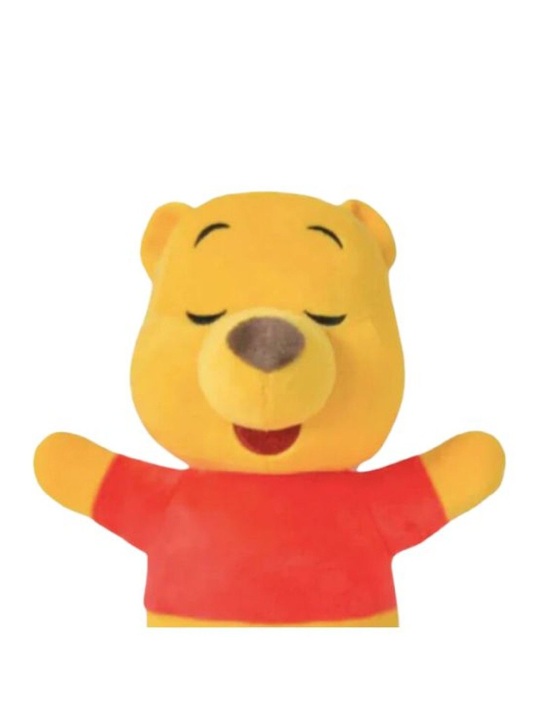 Disney Winnie the Pooh 12" Little Dreamers (No Color- Image 2)