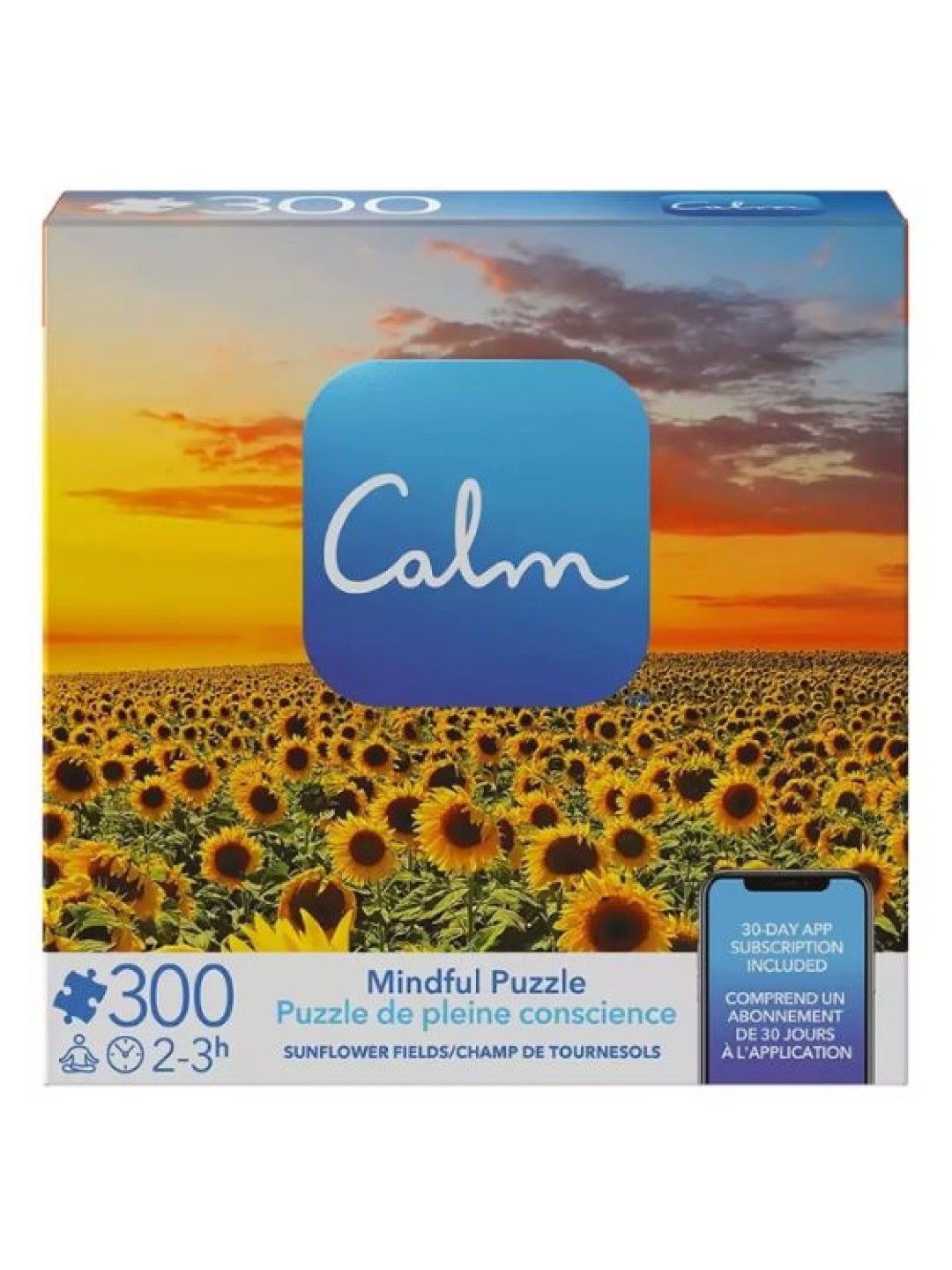 Spin Master Games Calm 8x8 box, 300pcs Random Assortment