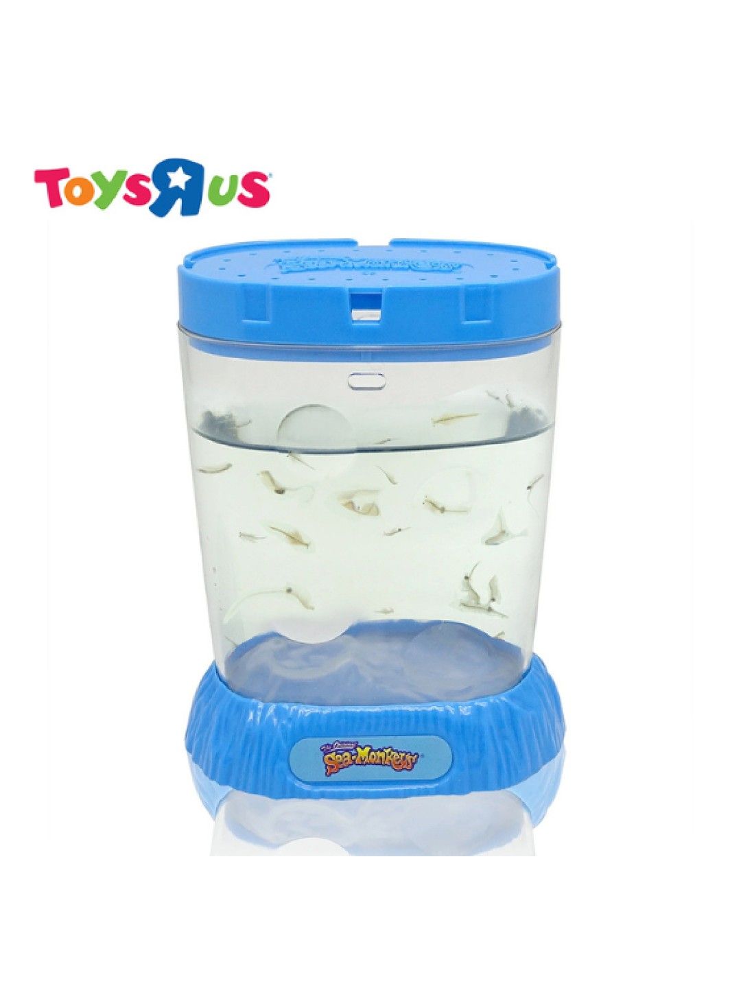 Toys R Us The Original Sea Monkeys Ocean-Zoo (Blue- Image 3)