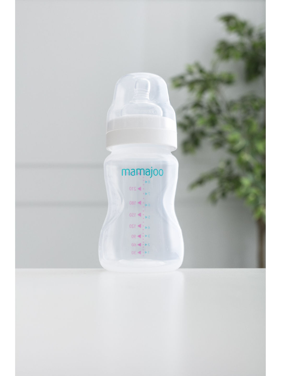 Mamajoo PP Feeding Bottle (250ml) (No Color- Image 4)