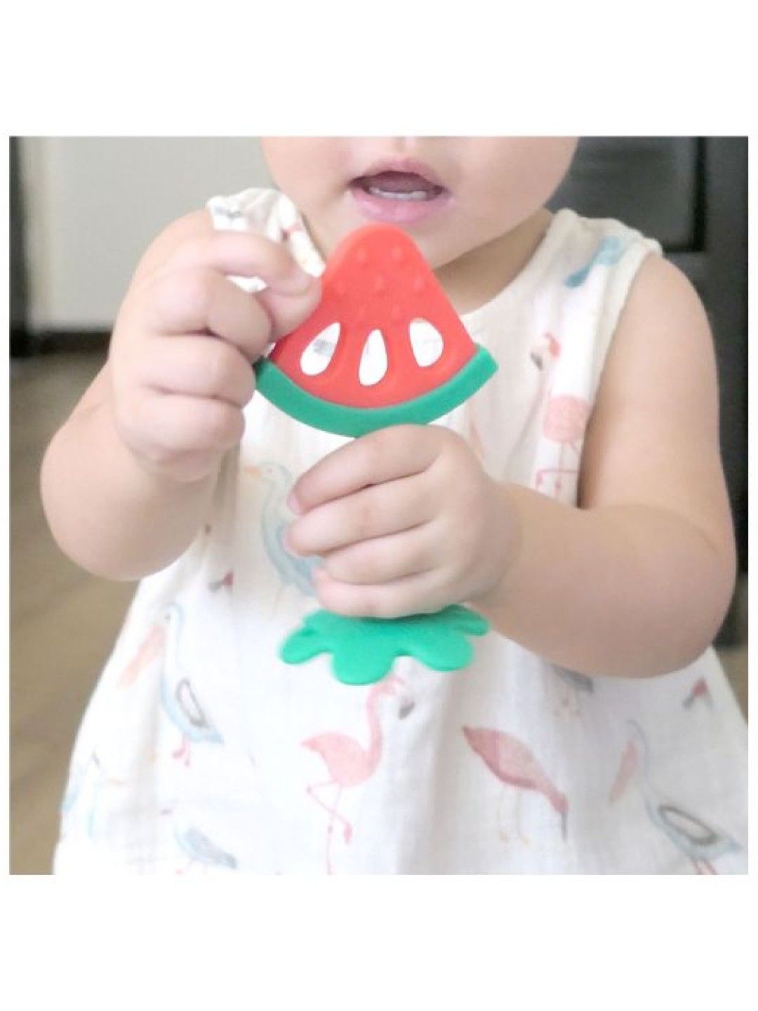 TGM Watermelon Fruity Teether (No Color- Image 2)