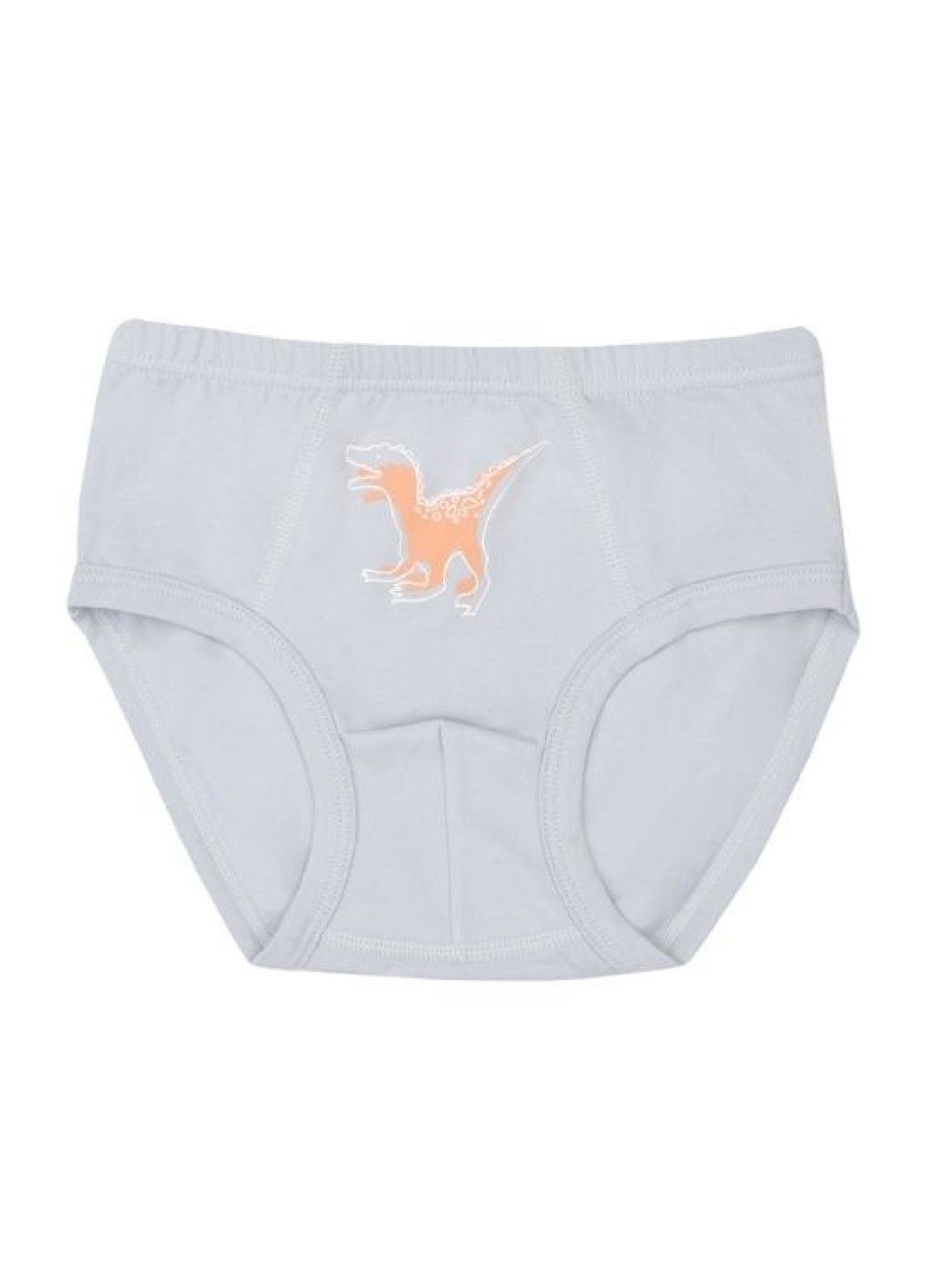 Meet My Feet Move Cal - Briefs (Underwear for Boys) (No Color- Image 2)