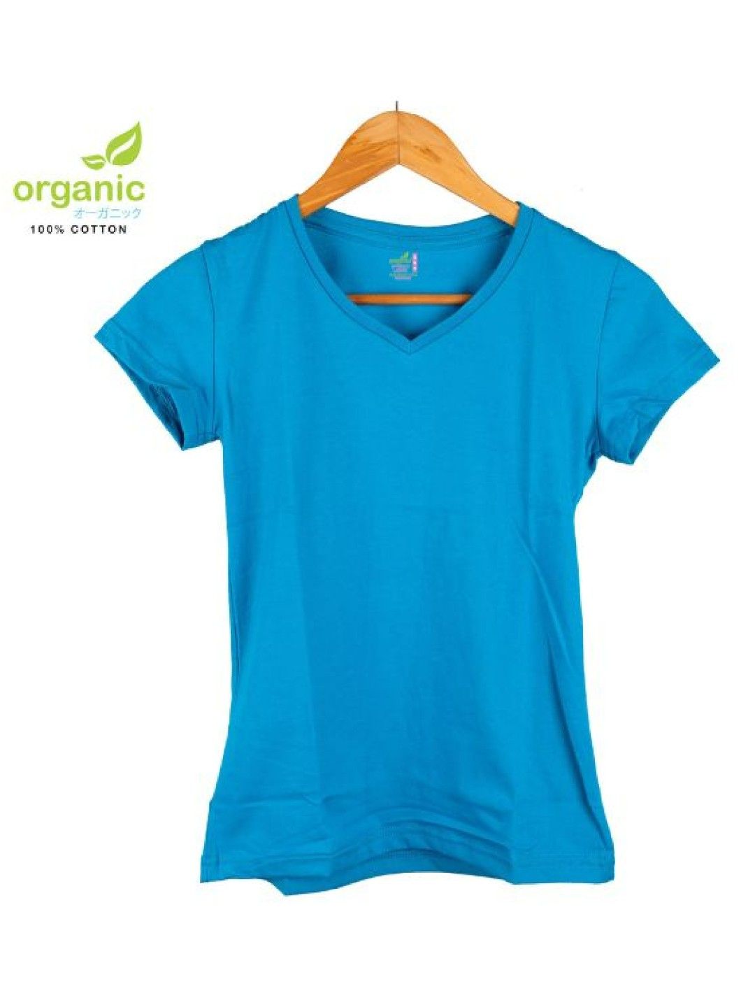 Organic Apparel Ladies V-Neck T-Shirt (Aqua Blue- Image 2)