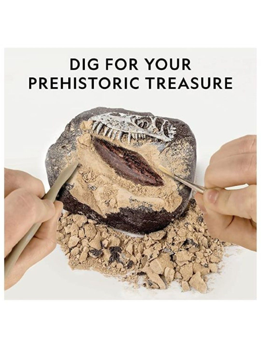 National Geographic Dinosaur Dig Kit (No Color- Image 2)