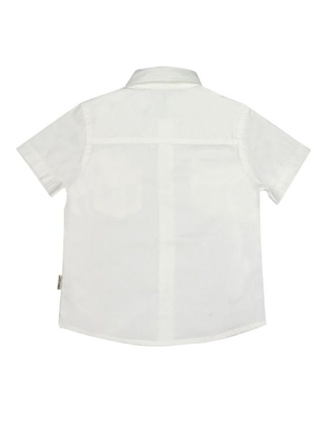Grizzly Toddler Boys Short sleeve Polo with Patch Pocket (White- Image 2)