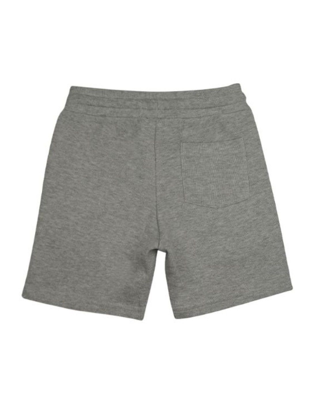 Grizzly Toddler Boys Shorts (Gray- Image 2)