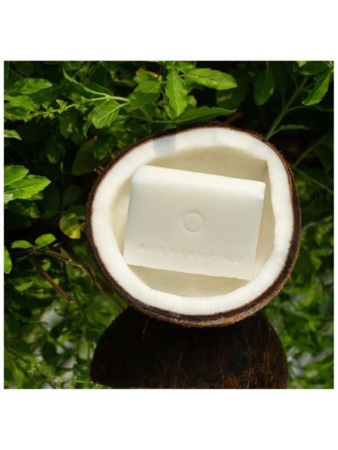 Dermtropics Family Bundle (8 Soap Bars) (No Color- Image 2)