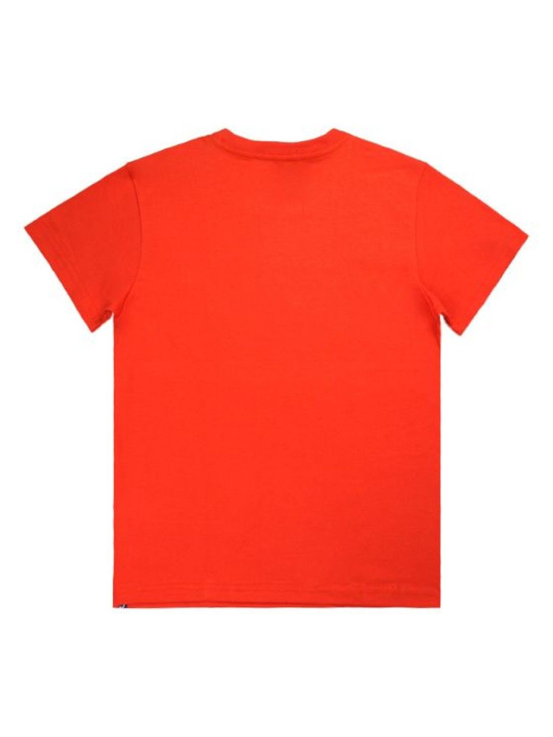 Grizzly Boys Short Sleeve Round Neck Shirt with Graphic Print (Orange- Image 2)