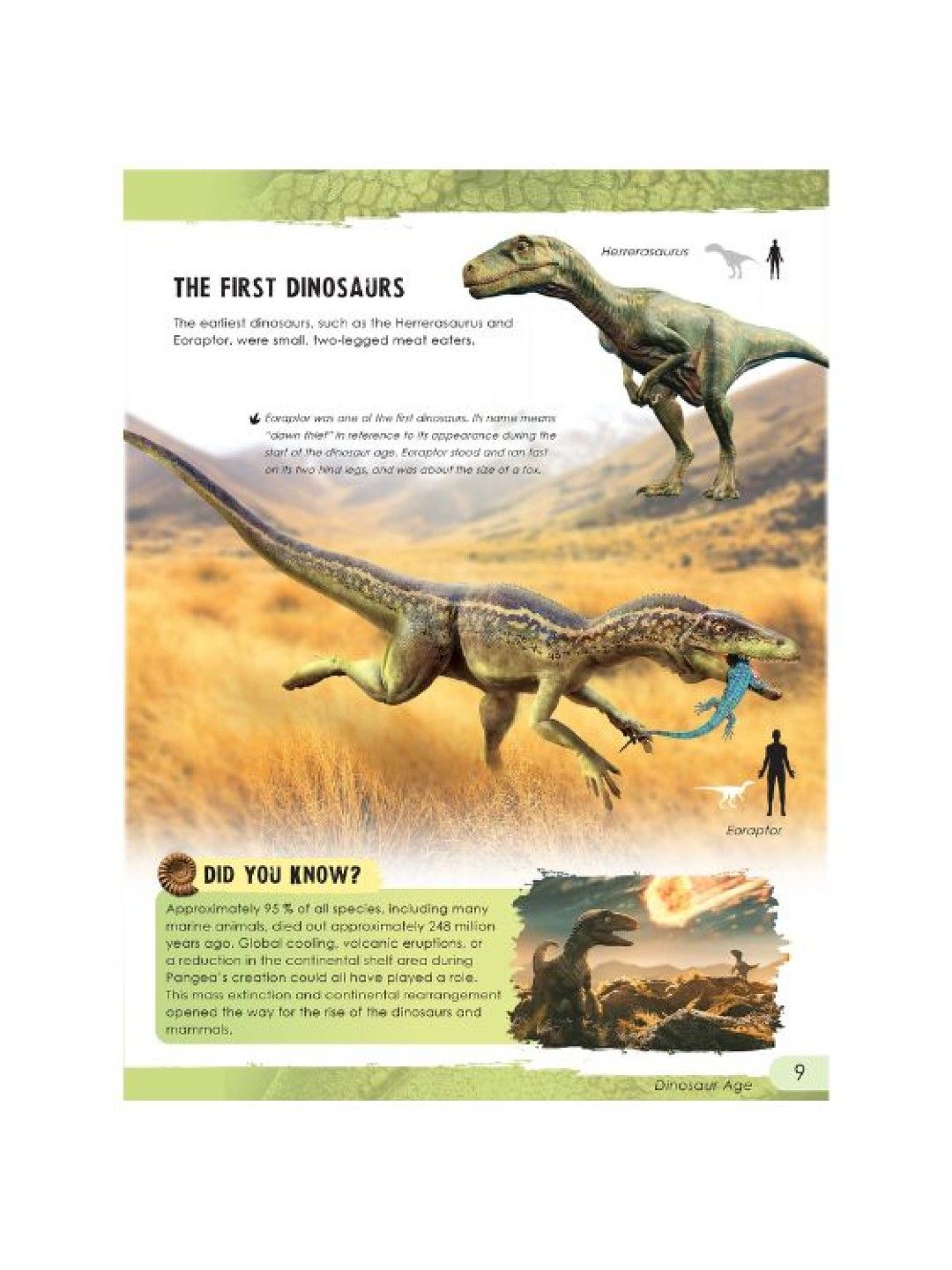 Learning is Fun Amazing Facts (Dinosaurs- Image 2)