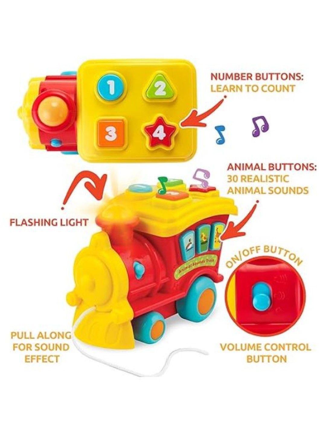 winfun Animal Sounds Train (No Color- Image 2)