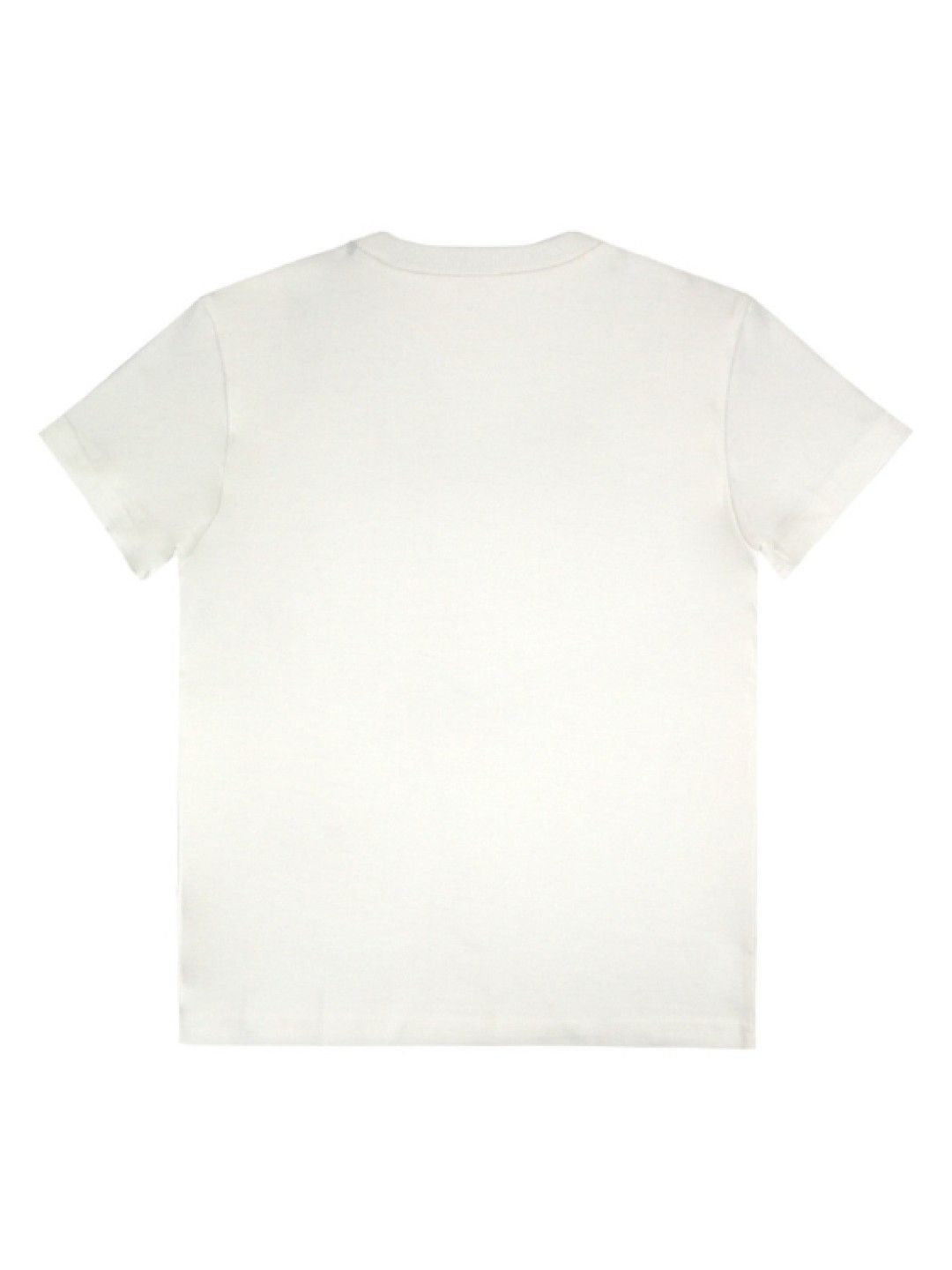 Grizzly Boys Short Sleeve Round Neck with Special Print (White- Image 2)