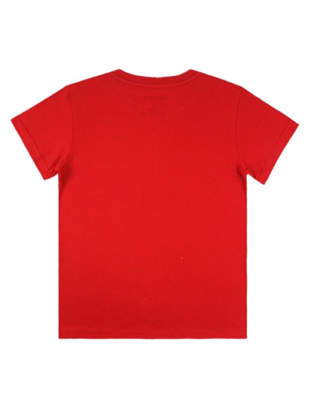 Grizzly Boys Short Sleeve Round Neck with Special Print (Red- Image 2)