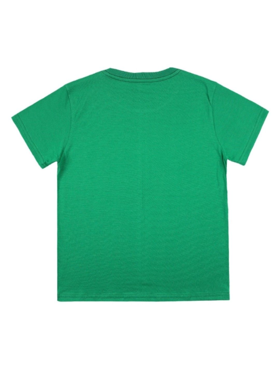 Grizzly Boys Short Sleeve Round Neck Shirt with Graphic Print (Green- Image 2)