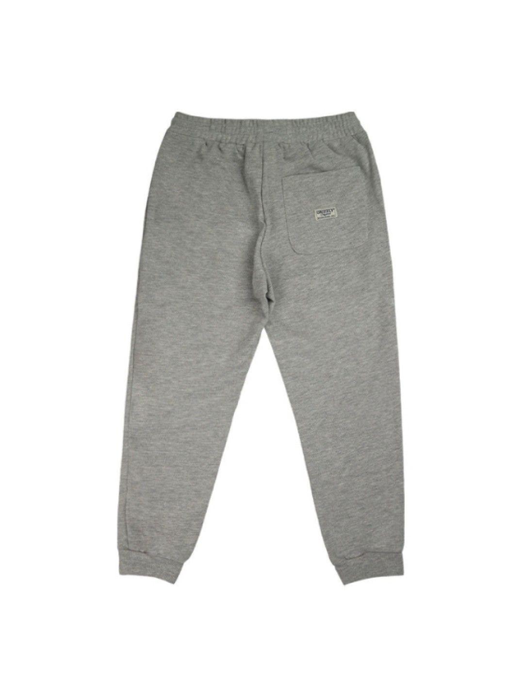 Grizzly Boys Jogger Pants with Pocket and High Density Print (Gray- Image 2)