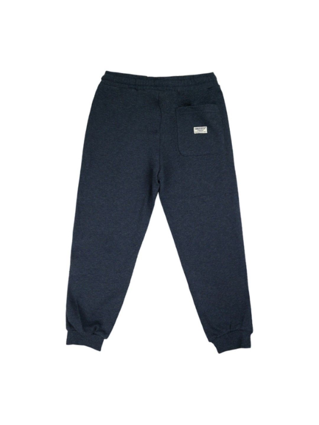 Grizzly Boys Jogger Terry Pants with High Density Print (Blue- Image 2)