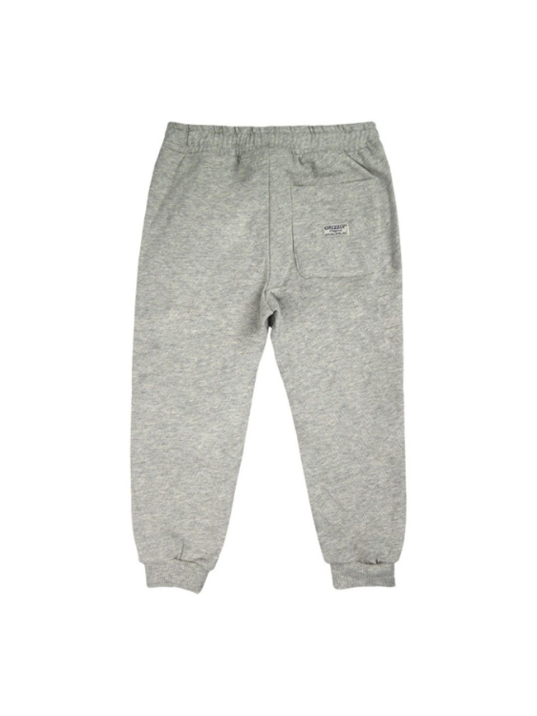 Grizzly Boys Terry Jogger Pants with Cord (Gray- Image 2)