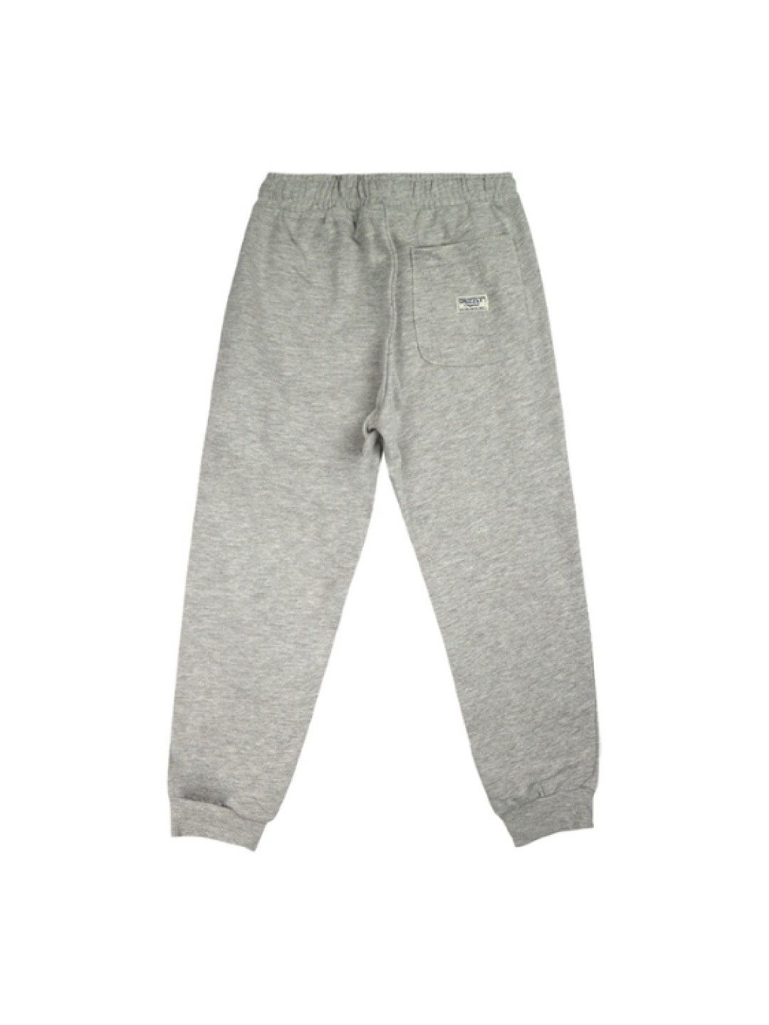 Grizzly Boys Jogger Pants Terry with Cord (Gray- Image 2)