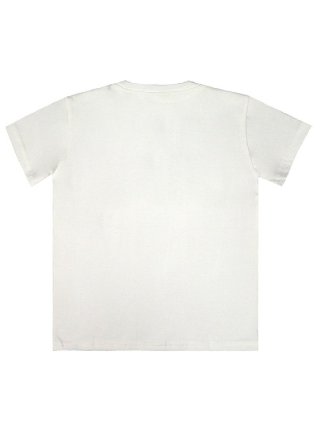 Grizzly Boys Round Neck Shortsleeve Tee with Special Print (White- Image 2)
