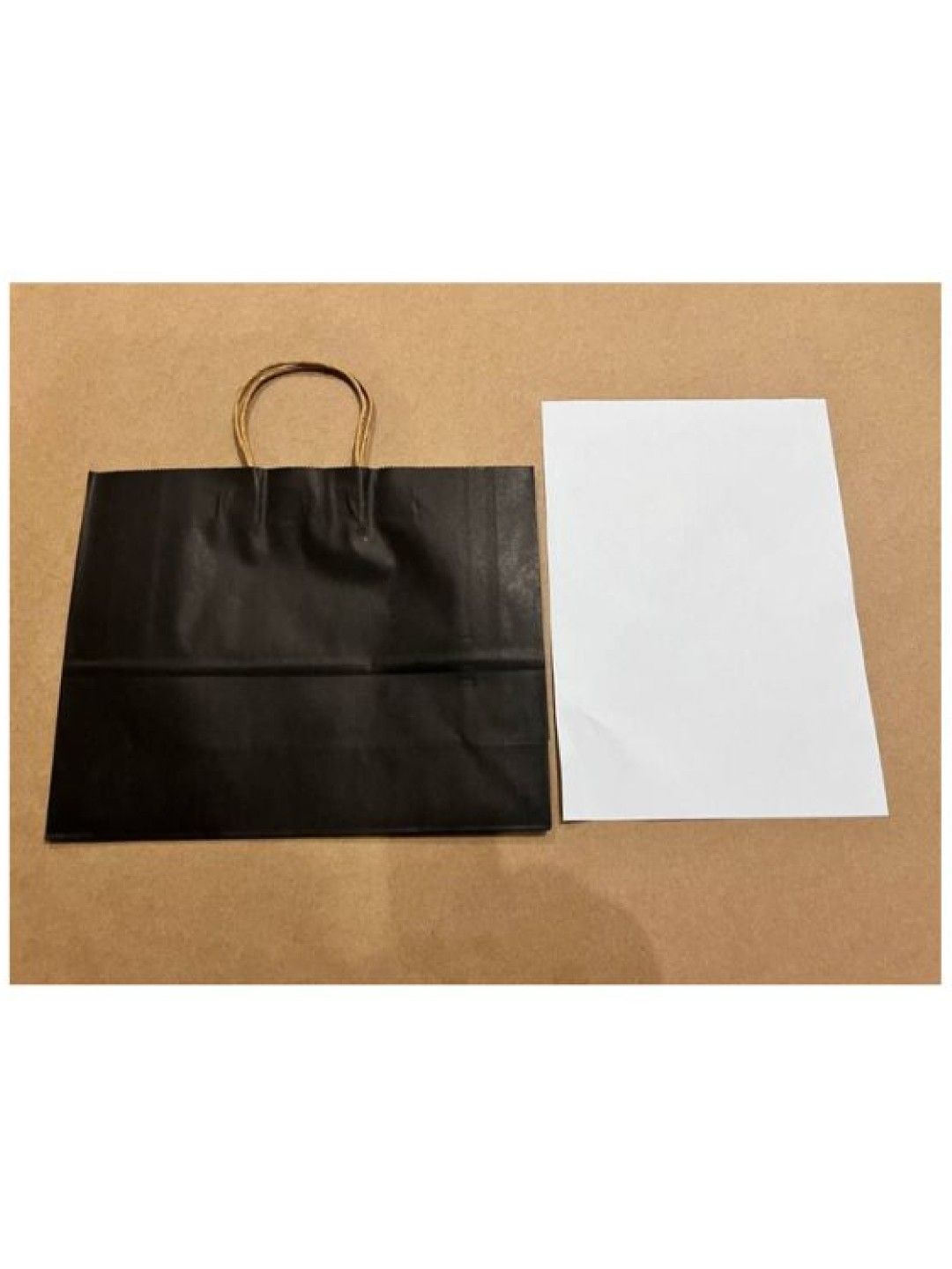QT Hub Twisted handle Kraft Paper Bag LARGE (Green- Image 2)