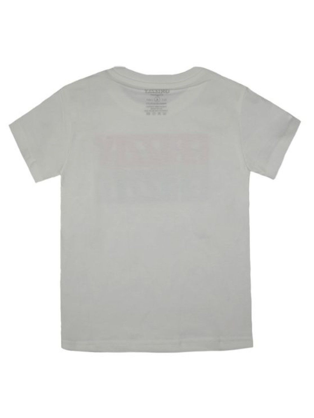 Grizzly Boys Round Neck Short Sleeve Tees With Print (White- Image 2)