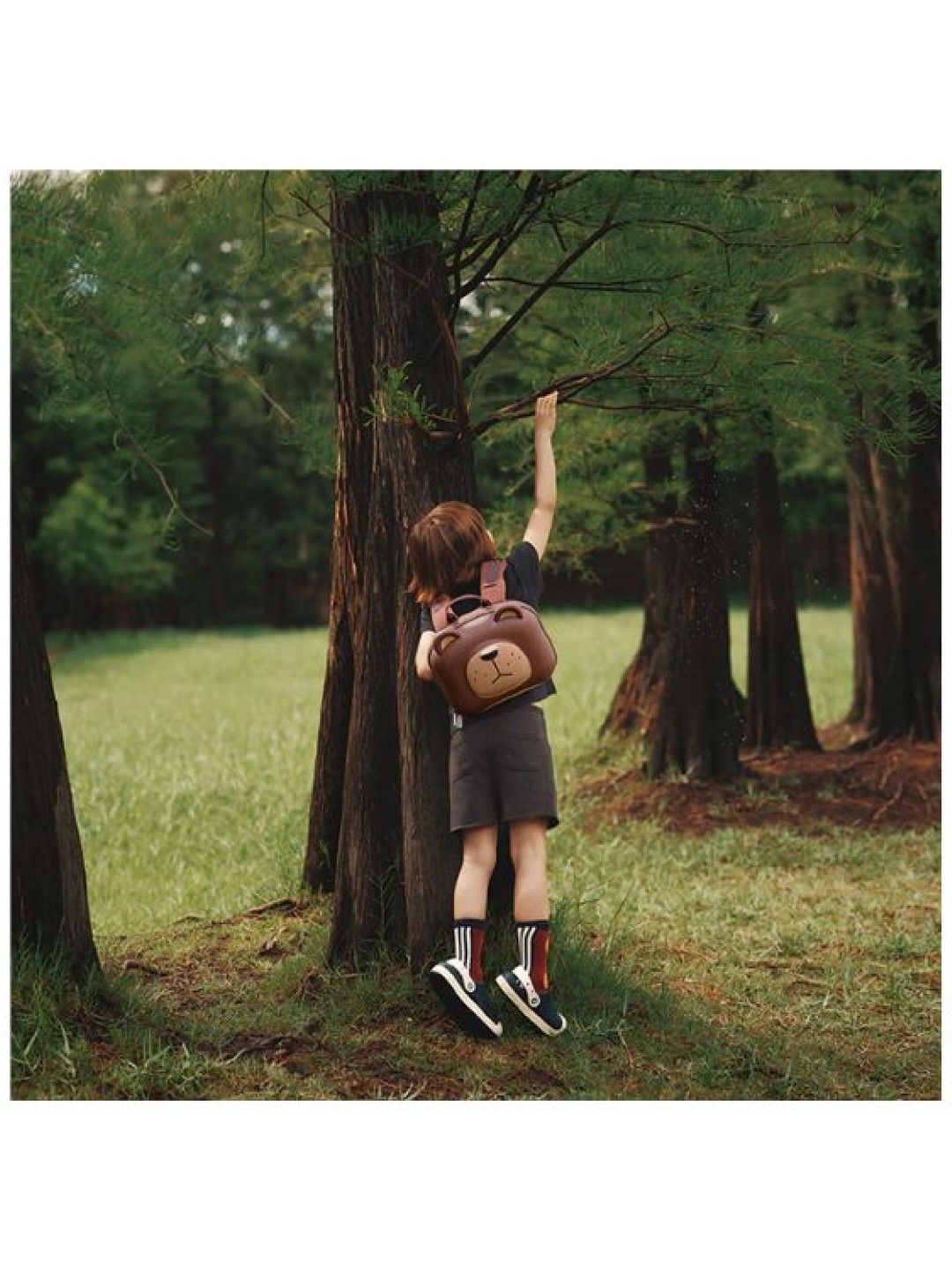 Zoy Zoii B18-B Forest Series Backpack - Bear (No Color- Image 2)