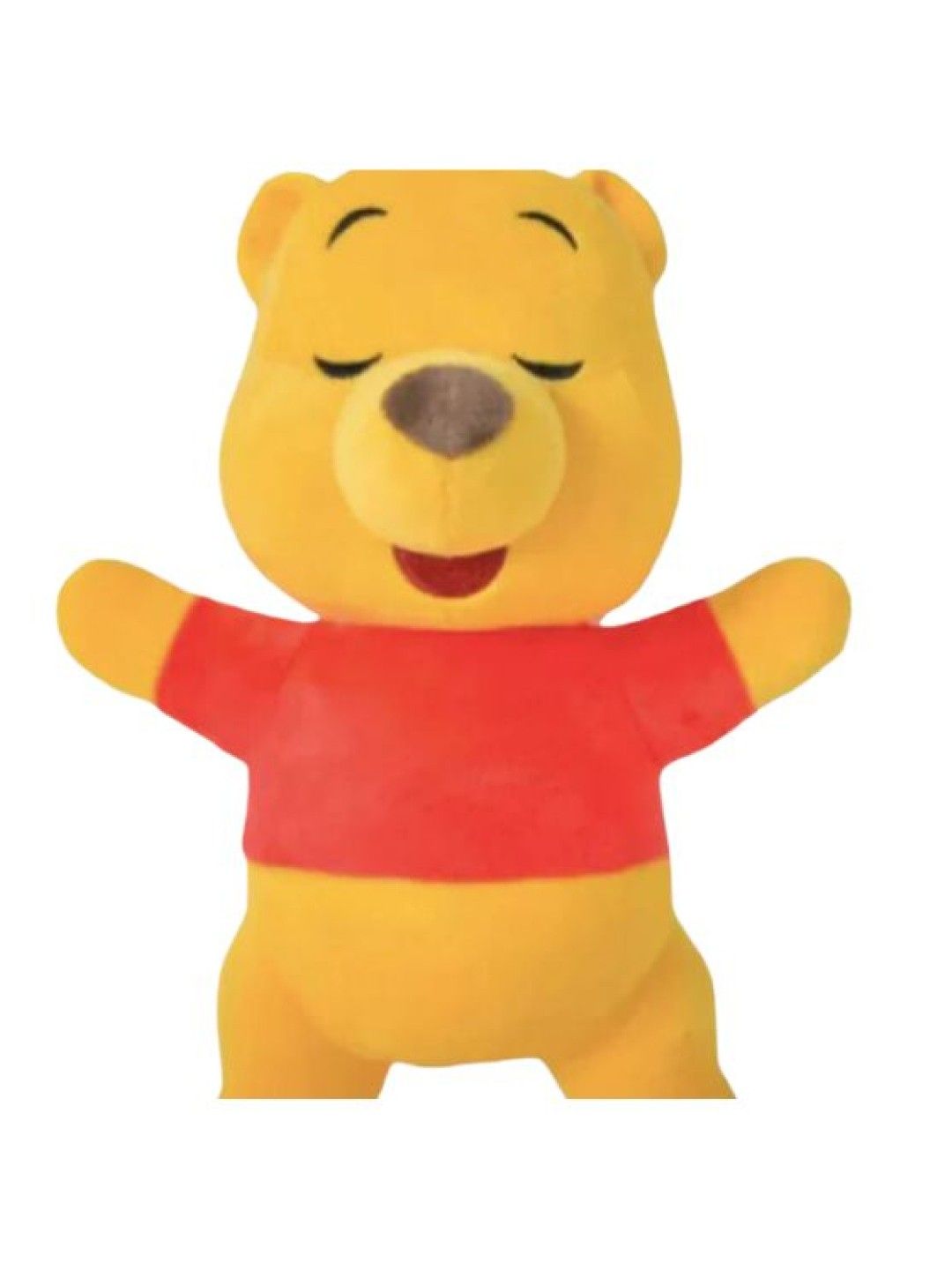Disney Winnie the Pooh 12" Little Dreamers (No Color- Image 3)