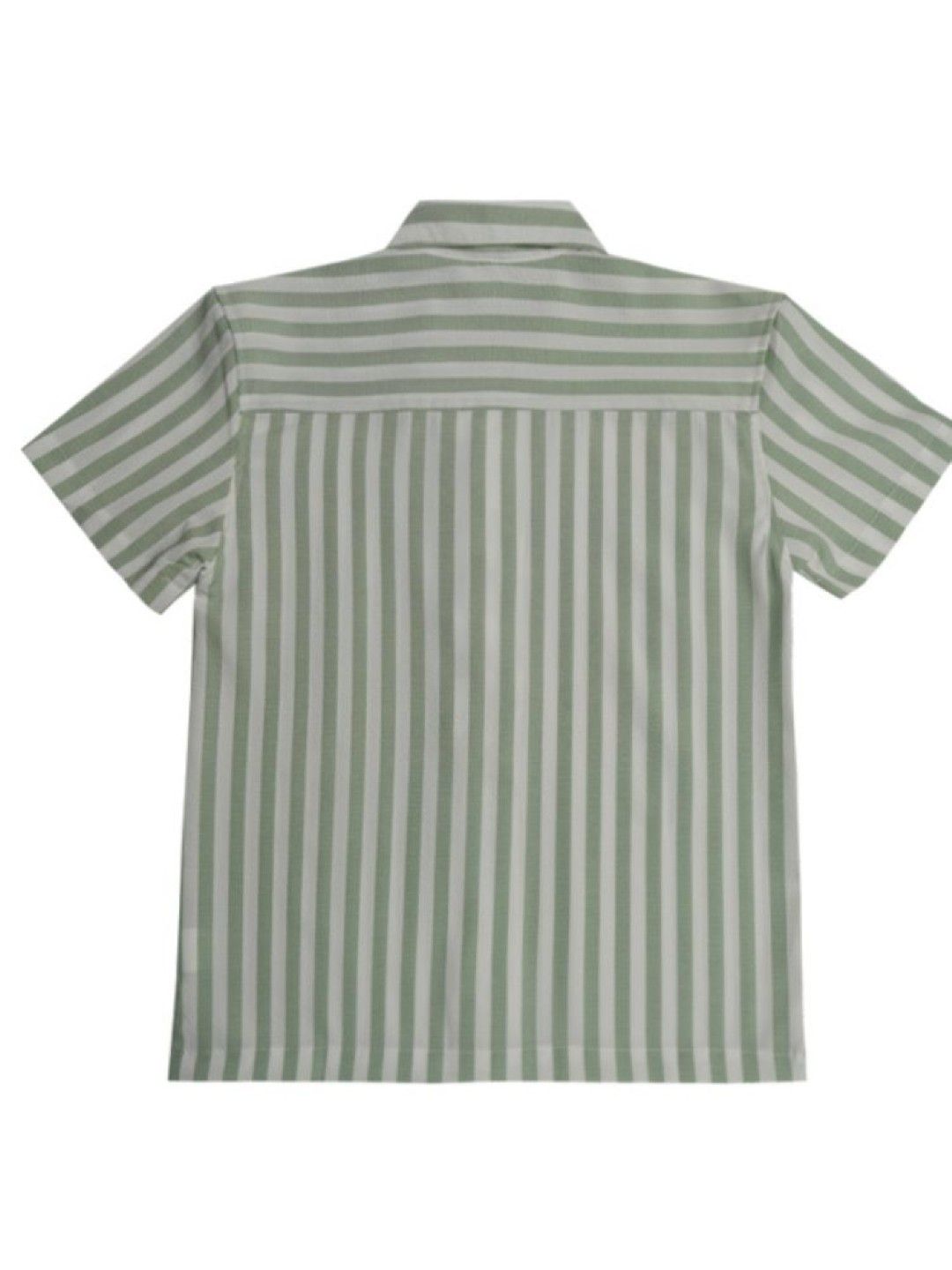 Grizzly Toddler Boys Short Sleeves Polo Stripes with Label (Green- Image 2)
