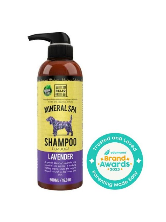 Reliq Lavender Shampoo 500ml