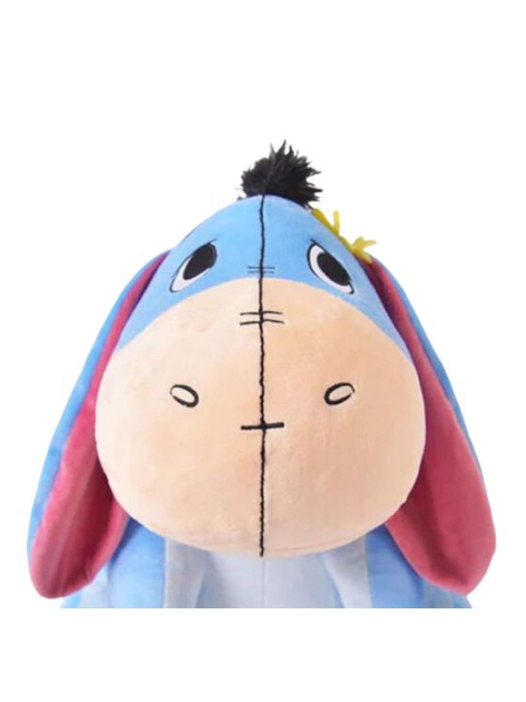 Disney Eeyore 16" Nature Lovers (No Color- Image 2)