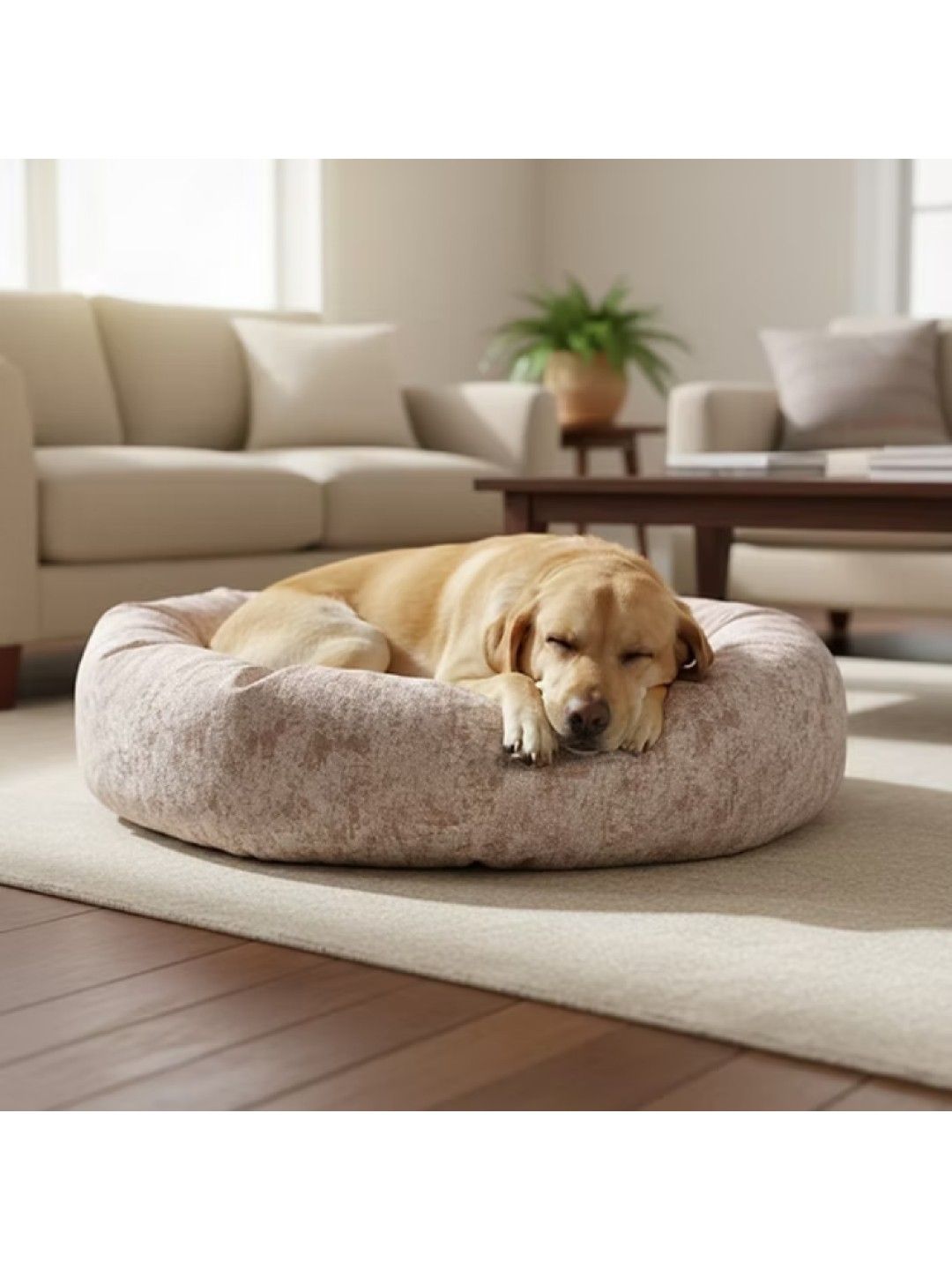 PUPKITS Frosted Peach - Cat & Dog Bed (No Color- Image 4)