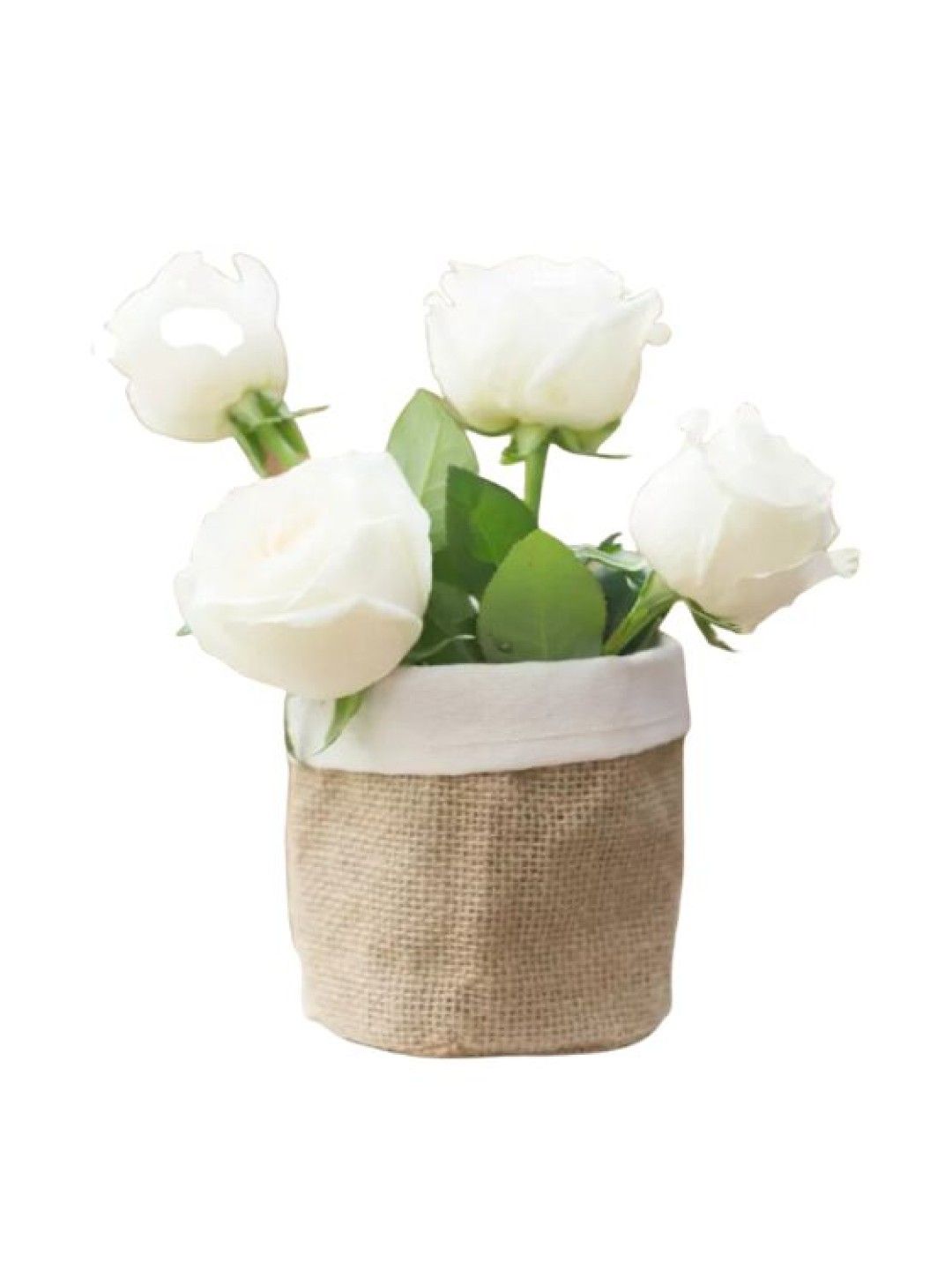 Puting Decorative Flower Pot Covers (Jute- Image 2)