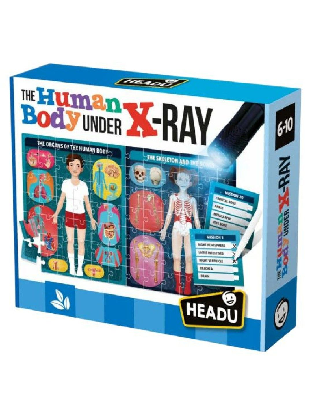 Headu The Human Body Under X-Ray